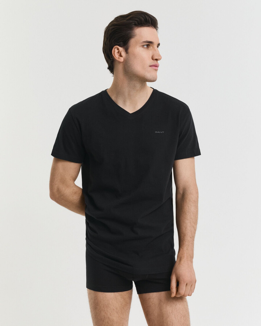 2pack vneck tshirts - black